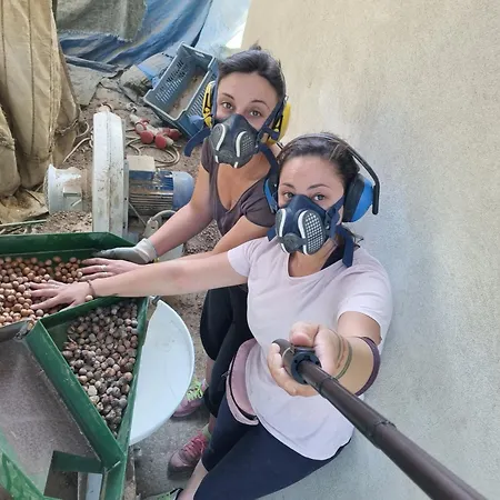 Ospitalita Agricola Di Langa Mansardato Vacanze Apartment Sinio