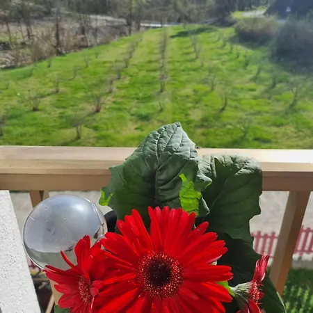 Apartmán Ospitalita Agricola Di Langa Mansardato Vacanze *