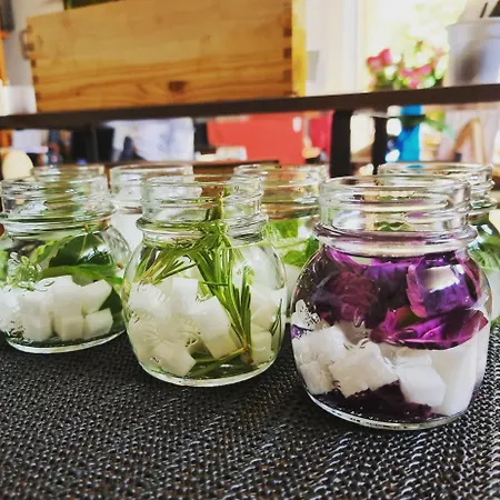 Ospitalita Agricola Di Langa Mansardato Vacanze Apartment Sinio