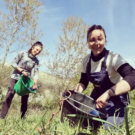 Ospitalita Agricola Di Langa Mansardato Vacanze 아파트
