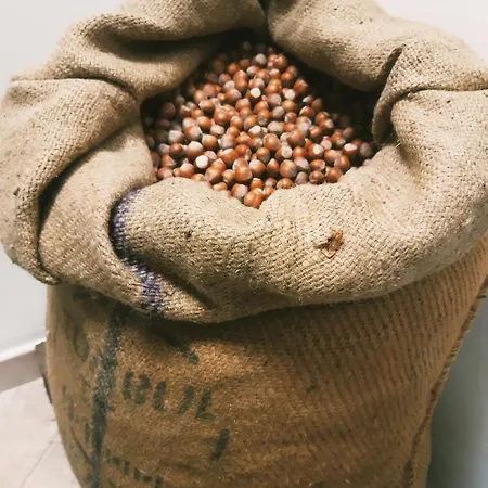 Ospitalita Agricola Di Langa Mansardato Vacanze