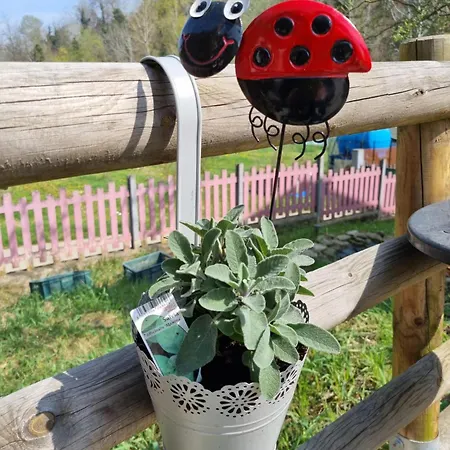 Apartmán Ospitalita Agricola Di Langa Mansardato Vacanze