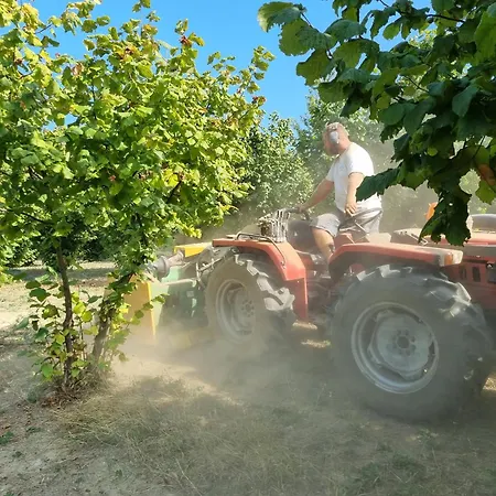 Apartmán Ospitalita Agricola Di Langa Mansardato Vacanze *