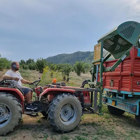Apartmán Ospitalita Agricola Di Langa Mansardato Vacanze Sinio