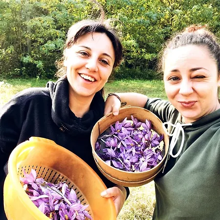 Ospitalita Agricola Di Langa Mansardato Vacanze * Sinio
