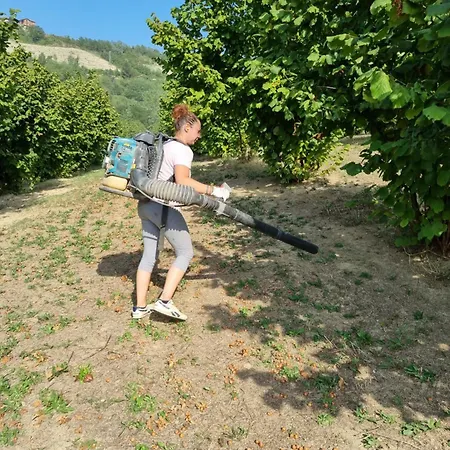 Ospitalita Agricola Di Langa Mansardato Vacanze
