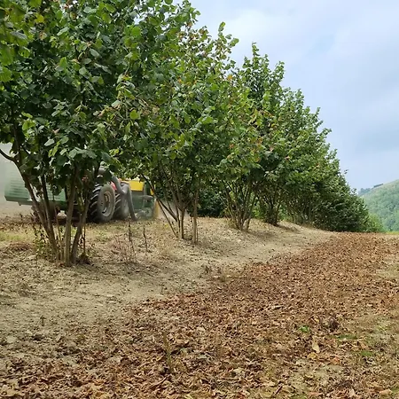 Ospitalita Agricola Di Langa Mansardato Vacanze