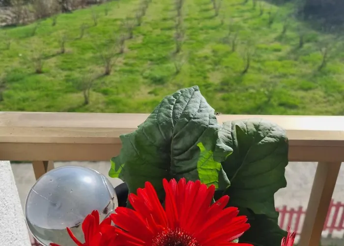 아파트 Ospitalita Agricola Di Langa Mansardato Vacanze *