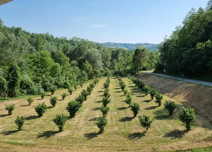 Ospitalita Agricola Di Langa Mansardato Vacanze 아파트 *