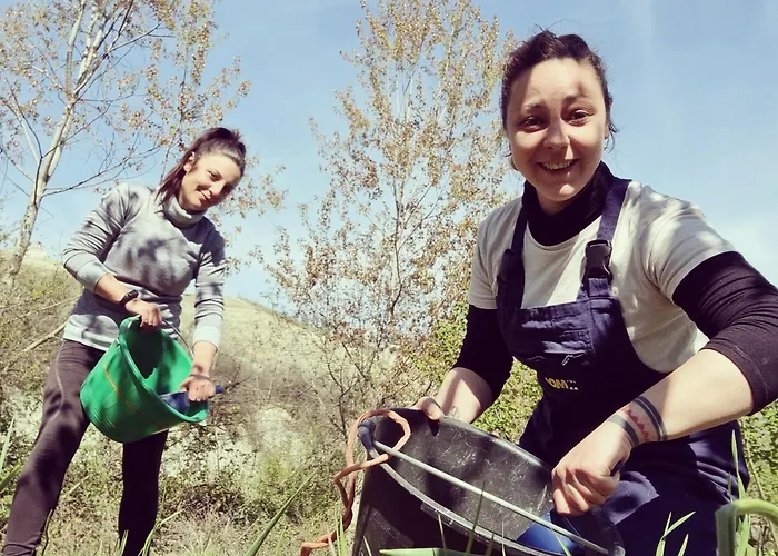 Ospitalita Agricola Di Langa Mansardato Vacanze 아파트
