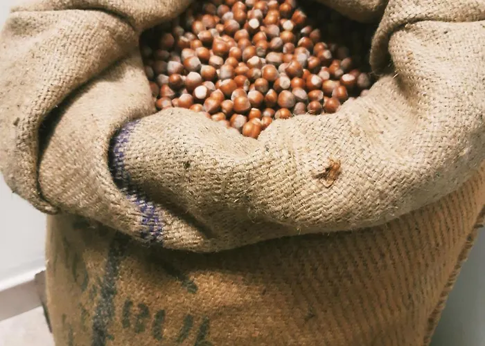 Ospitalita Agricola Di Langa Mansardato Vacanze