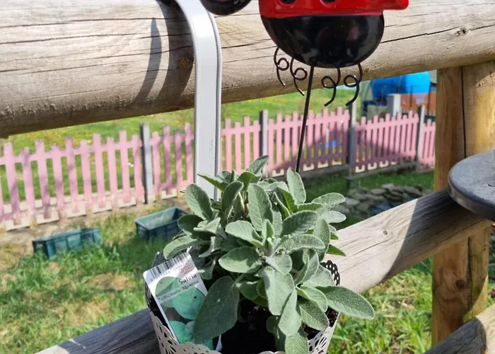 아파트 Ospitalita Agricola Di Langa Mansardato Vacanze