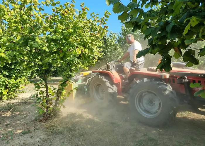 아파트 Ospitalita Agricola Di Langa Mansardato Vacanze *