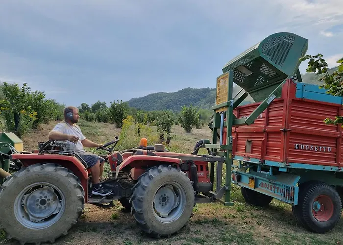 아파트 Ospitalita Agricola Di Langa Mansardato Vacanze 시니오
