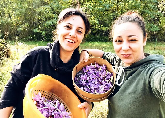Ospitalita Agricola Di Langa Mansardato Vacanze * 시니오