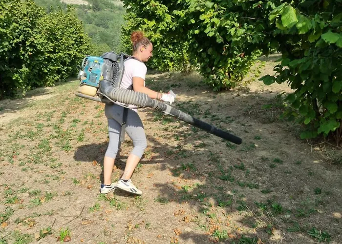 Ospitalita Agricola Di Langa Mansardato Vacanze