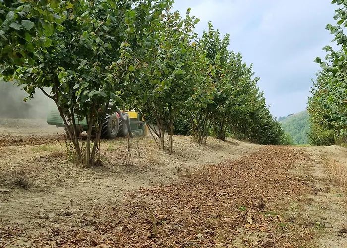 Ospitalita Agricola Di Langa Mansardato Vacanze